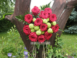 Букет из 11 красных роз «Изящный выбор»