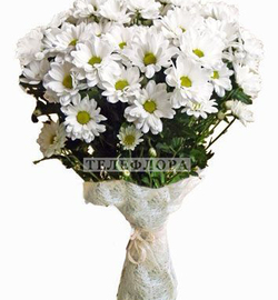 Букет цветов из 7 белых хризантем
