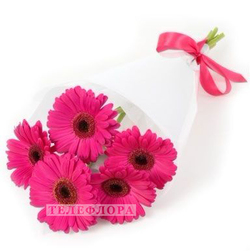 Букет цветов из 5 розовых гербер